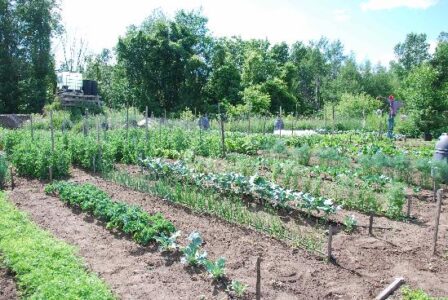 I'd Better Make it Meaningful Image